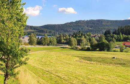 Apartment Caroline - Gemütliche Ferienwohnung mit Pool, Sauna und Hochschwarzwaldcard - Foto 35