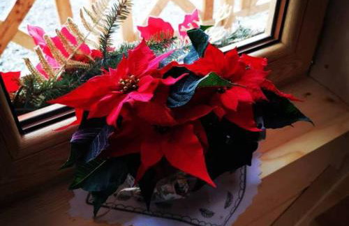 Zymbiańsko Chałupa 1 z balią na wyłączność - Foto 39