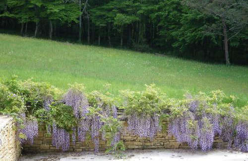 Retour aux sources - Foto 18