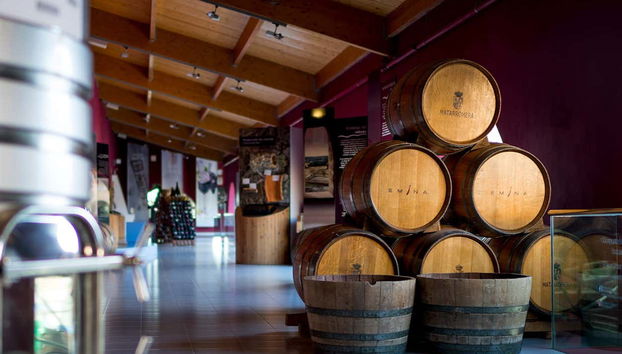 Alla scoperta della Cantina Emina Ribera