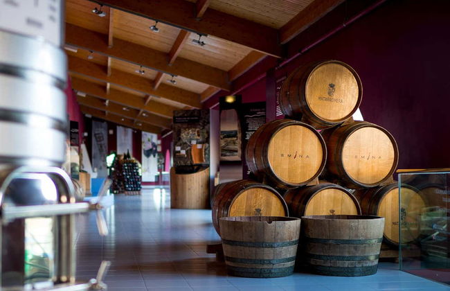 Visita alla cantina Emina Ribera - Foto 1