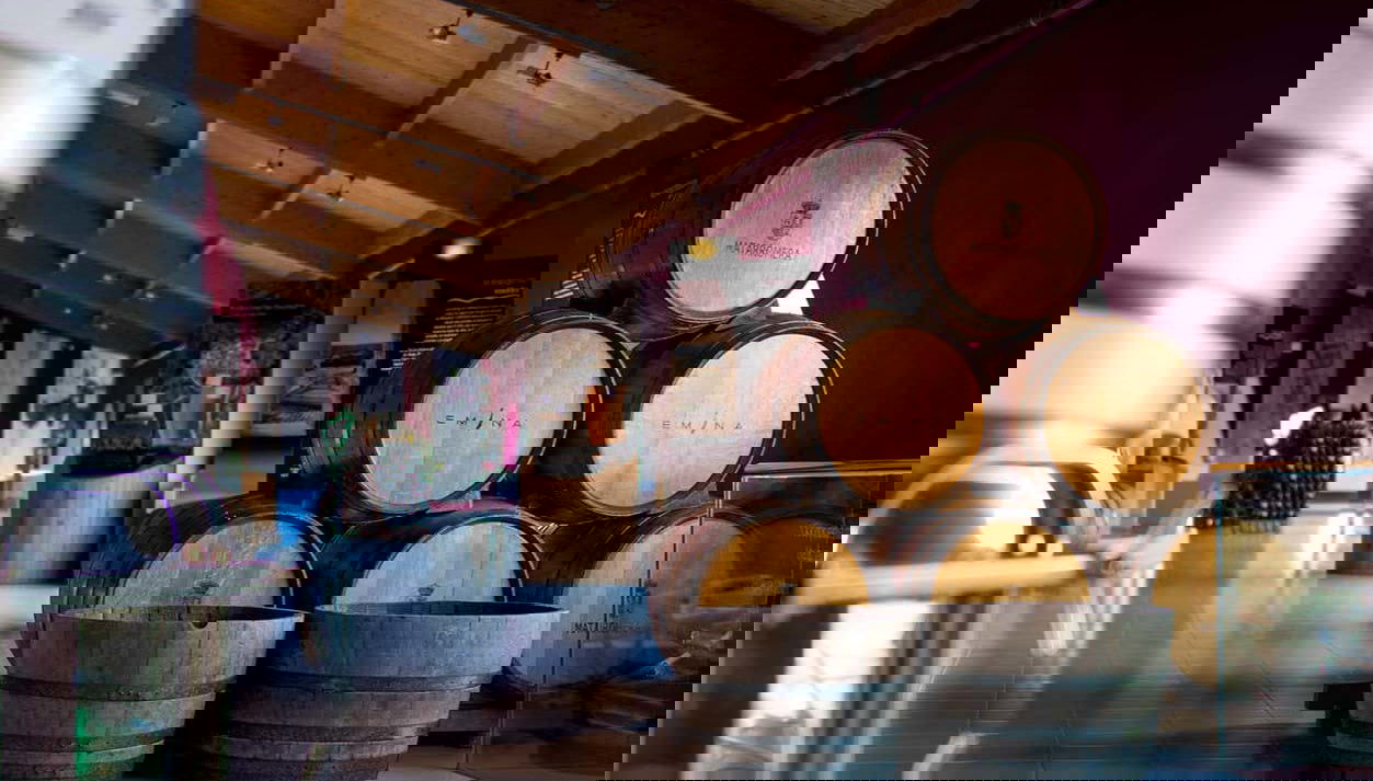 Visita alla cantina Emina Ribera - Foto 1