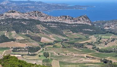 Le Clos Osteria - Foto 3