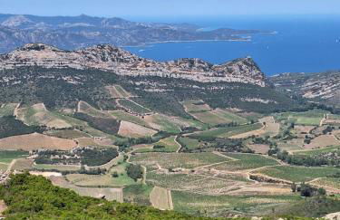 Le Clos Osteria - Foto 3