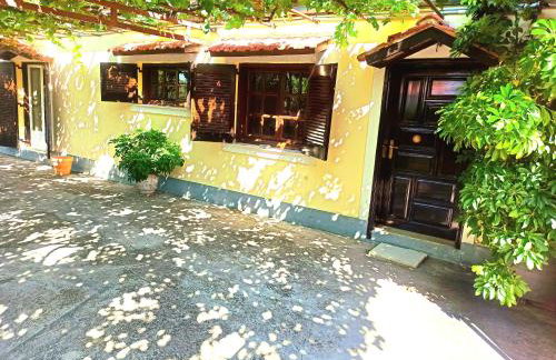 Spacious farmhouse with big yard and fireplace - Foto 13