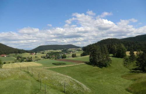 Charming Apartment, Harz Region - Foto 44