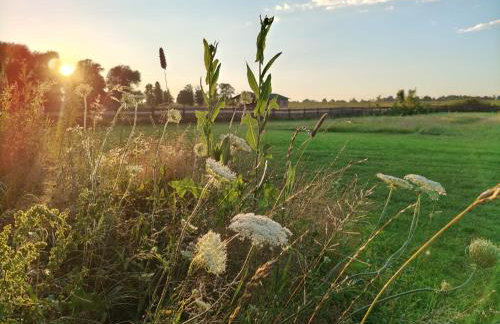 Dziki brzeg Jezioraka - Foto 30