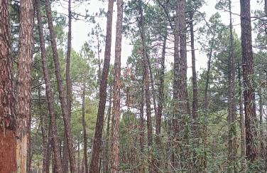 Alojamientos Rurales El Rincón del Pico - Foto 31