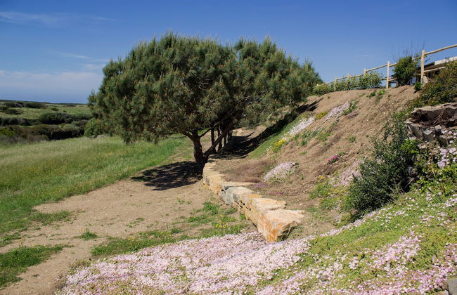 Cala Scoglietti - Foto 21