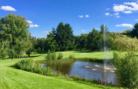 FeWo Finkenberg Freudenstadt - Foto 14