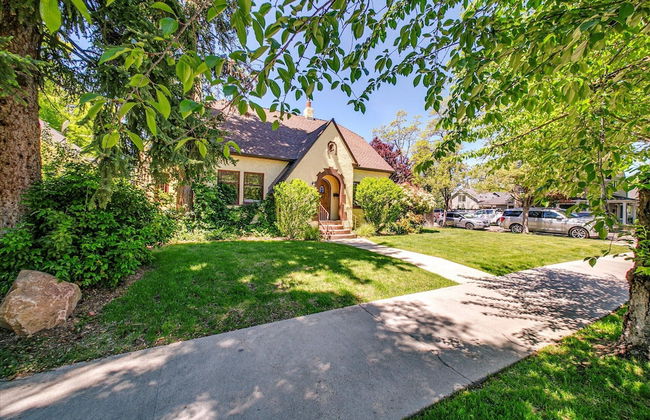 The Brandy Alexander - Foto 50