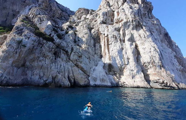 Observation de dauphins sur l'île de Figarolo - Photo 8