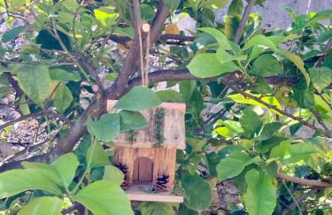 Casa Margherita parking - Foto 29