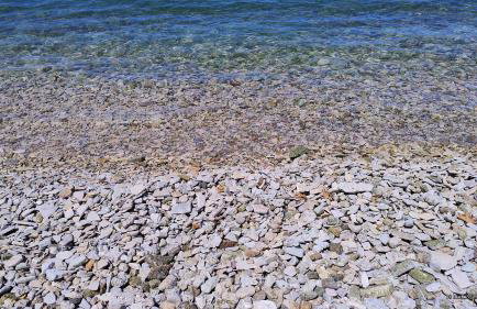 sparton amfilohias παραθαλάσσιο εξοχικό Filoxenia - Foto 62