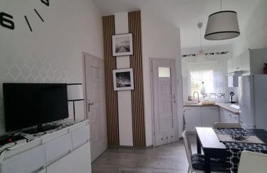 Domki Boszkowo-Dominice Bliźniak 2 apartamenty - Foto 15