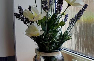 Hill View 2 bedroom free parking - Photo 32