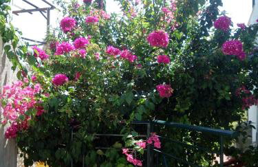 Agistri SOPHIA'S APARTMENT - Foto 13