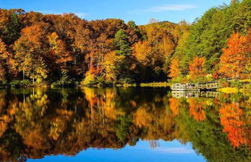 Home away from home Charlotte - Foto 62