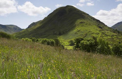 Cherry Garth - Foto 29