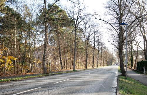 Ferienwohnung Friedrich - Photo 23