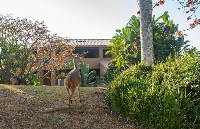 San Lameer Villas - Foto 79