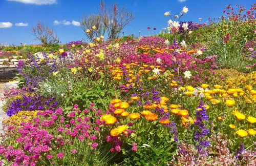 Cinque Ports Snug by Coaste - mins from Sea & Golf Course - Foto 54