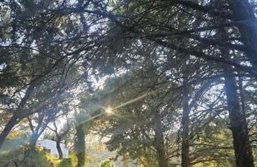 Casa Rural Camino de Hierro I y II - Foto 57