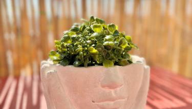 La Pilate, avec vue sur les toits de Rennes - Photo 2