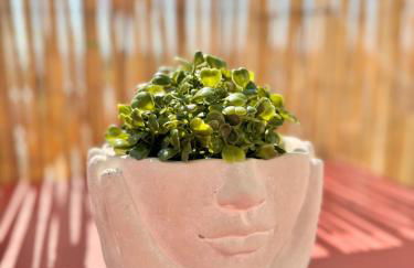 La Pilate, avec vue sur les toits de Rennes - Foto 2