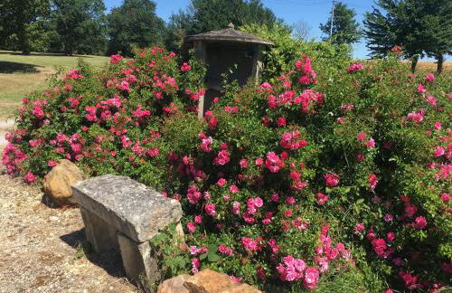 Gîte des Bruyères - Foto 24