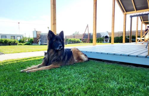 Domek wakacyjny, nad morzem z balią, Lawendowe Wzgórze, - Foto 53