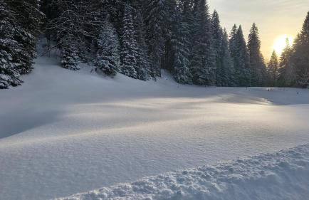 Le Repaire du Loup blanc - Foto 44