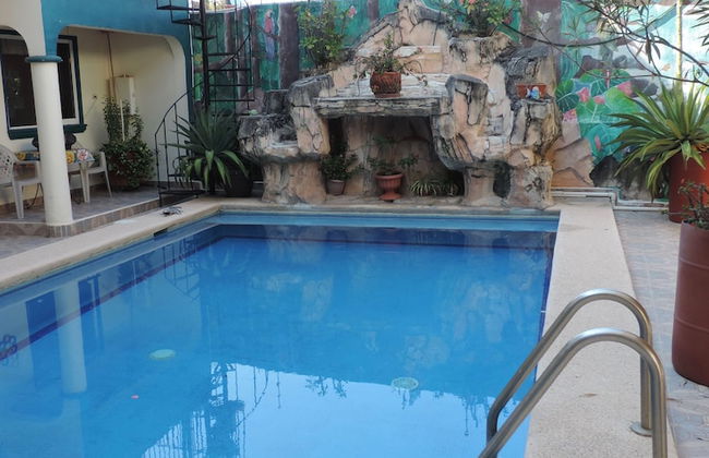 Le Colibri Récif Studio - Foto 15