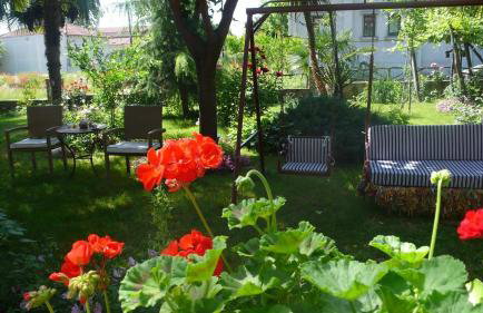 Alexandros - Foto 32