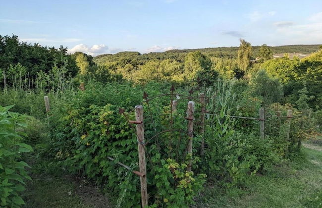 Haven With Private Garden - Photo 26