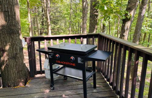 Game RoomHot Tub4mi to Rock HouseGives Back! - Foto 52