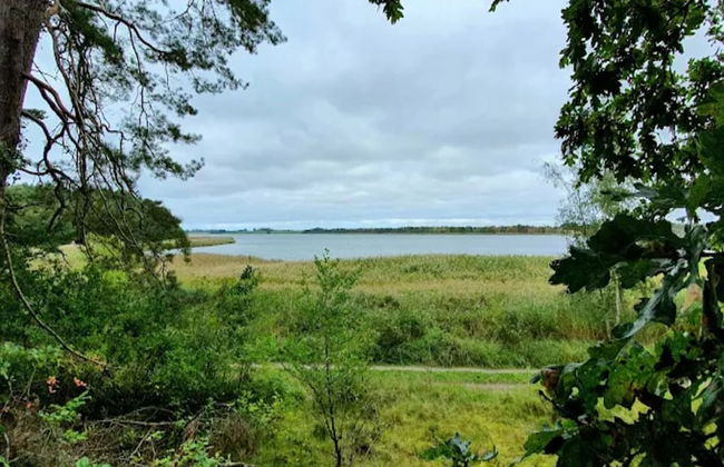 Gustow Garden Retreat - Foto 40