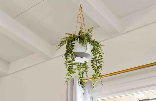 Mid Century Garden View Home Parking - Foto 23