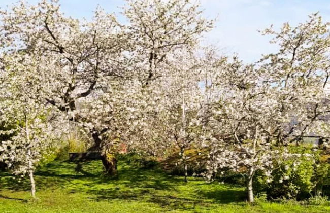 8 Person Holiday Home in Innvik-by Traum - Foto 30