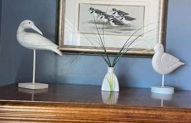 Tucson Mnt Foothills Saguaro Bliss - Foto 18