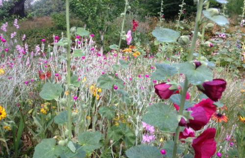 Domaine de Label, Spa, massages - Foto 42