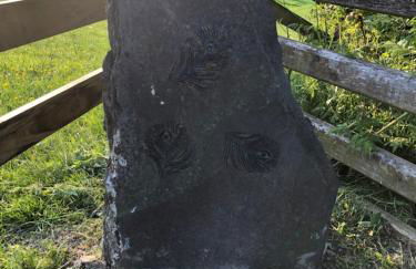 The Peacock Shepherds Hut at Hafoty Boeth - Photo 24