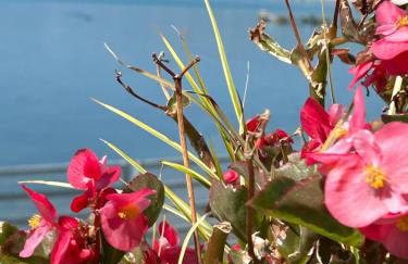 BEACH HOUSE CASKA - Photo 7