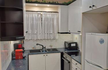 Four seasons apartment - Foto 15