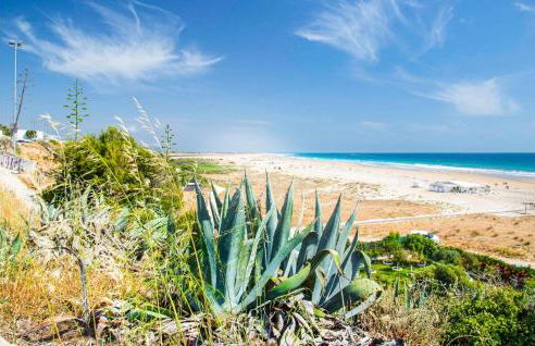 Hacienda Campo De Borja - Foto 37