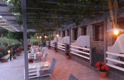 Ammos papanero - Foto 8