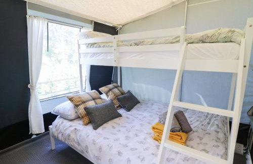 The Kingfisher - Foto 12