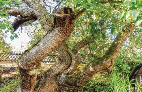 2 Bedroom Nice Home In Schlitz-Rimbach - Foto 14