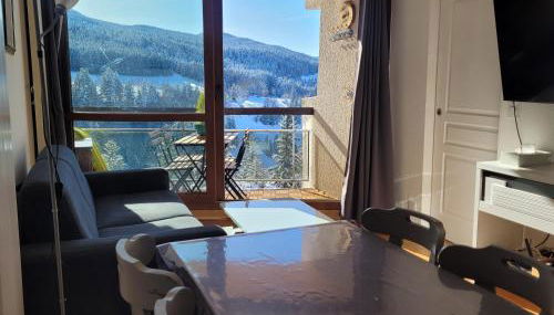 Lumineux 2 pièces vue montagne au pied des pistes avec parking privé - Foto 4