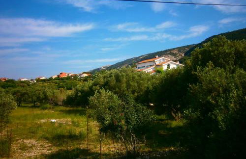 Zobić Family Apartments - Photo 50